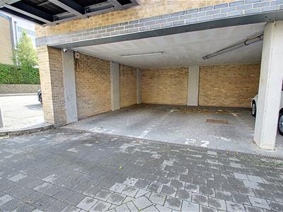 Picture 11